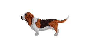 Basset Hound