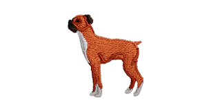 Boxer