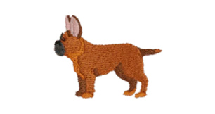 Fawn Frenchie
